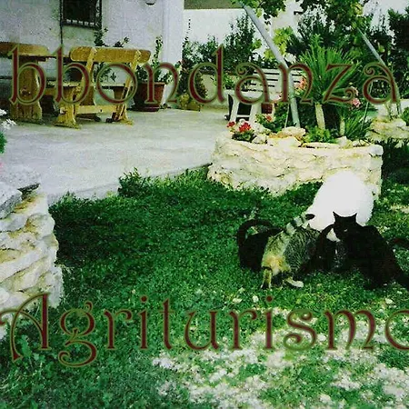 In Bb - Abbondanza The Alberobello