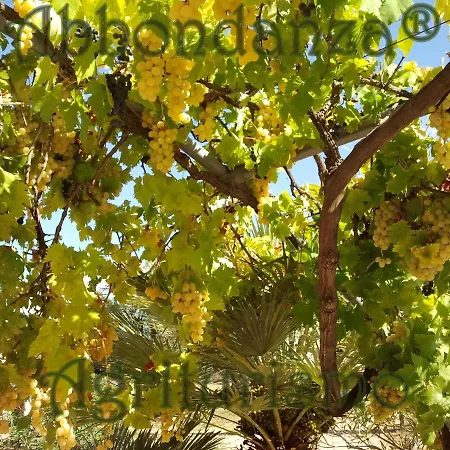 In Bb - Abbondanza The Guest house