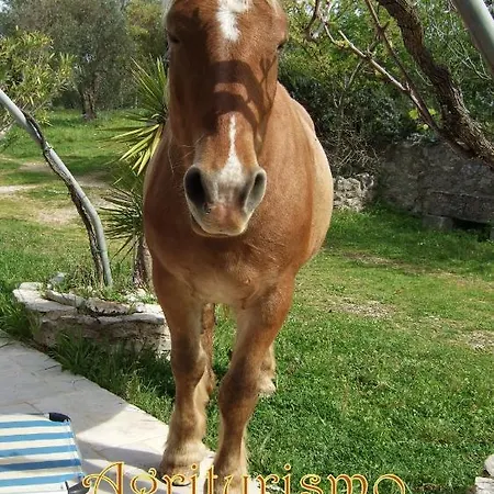In Bb - Abbondanza The Guest house Alberobello