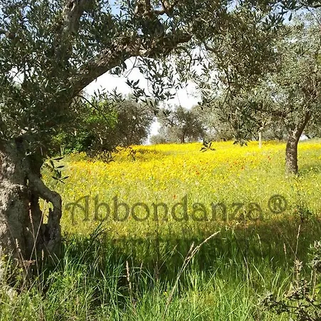 In Bb - Abbondanza The
